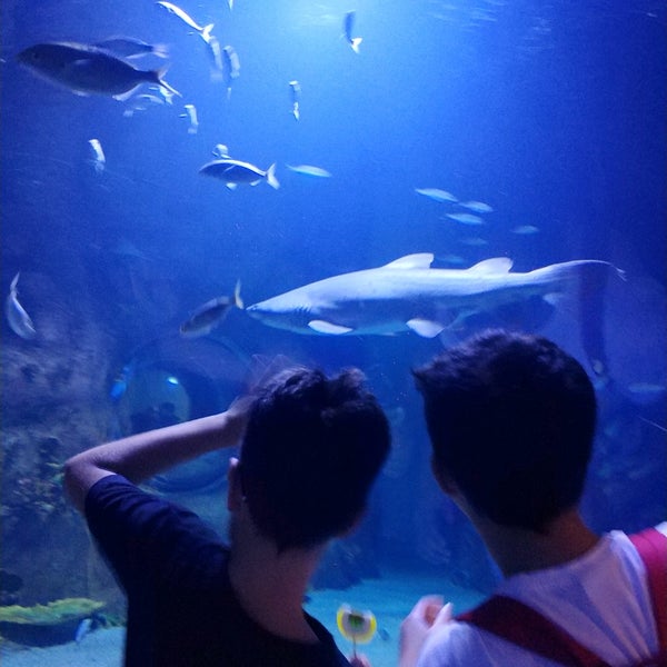 Photo taken at Funtastic Aquarium İzmir by Hayrettin B. on 8/7/2022