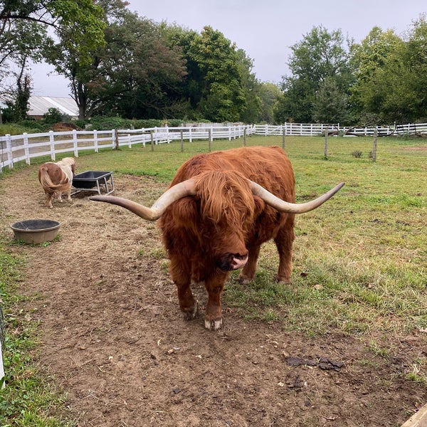 9/26/2020にJavier C.がThe Amish Farm and Houseで撮った写真