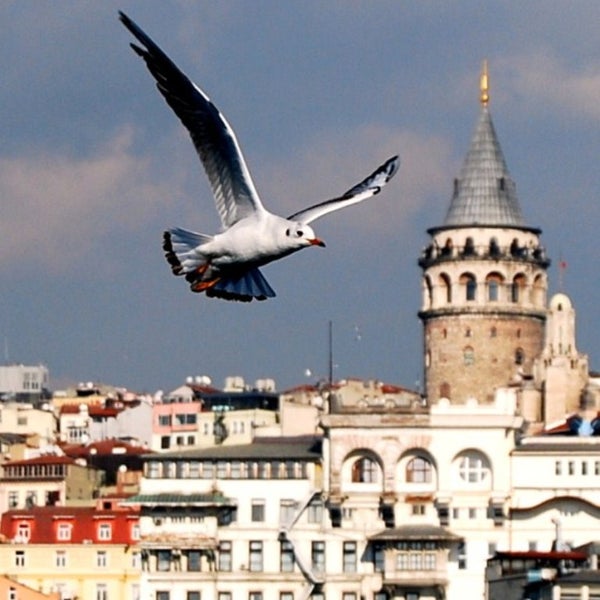 Photo taken at Turkey Travel Centre by Turkey Travel Centre on 2/11/2014