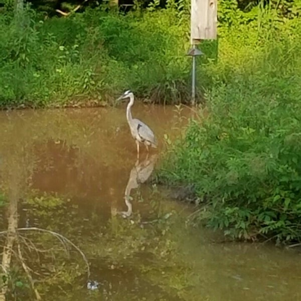 Kildaire Farm Greenway Cary, NC