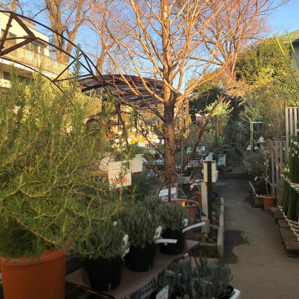 渋谷園芸 練馬区 東京都