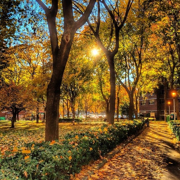 Sandbox Park Park in New York