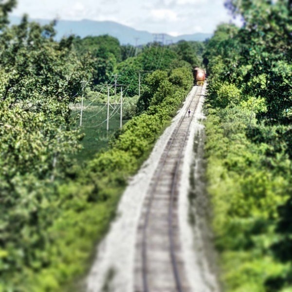 Intervale Center 5 tips from 136 visitors