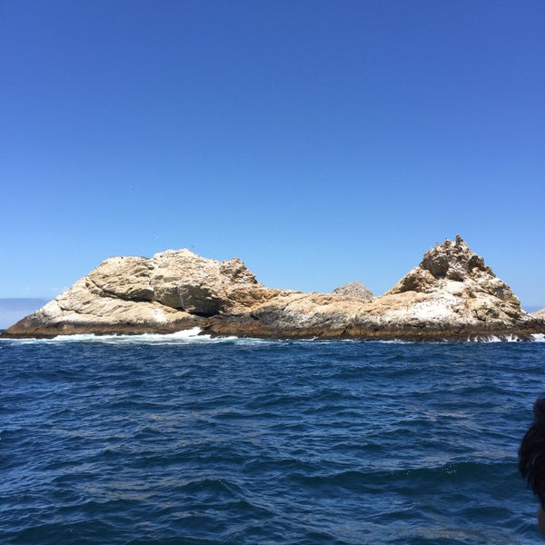 Farallon Islands Fairmont San Francisco, CA