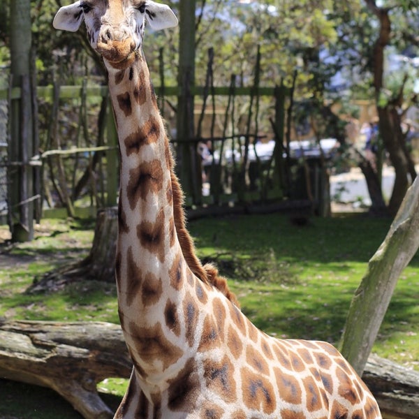 Photo taken at Wellington Zoo by John Y. on 12/29/2014