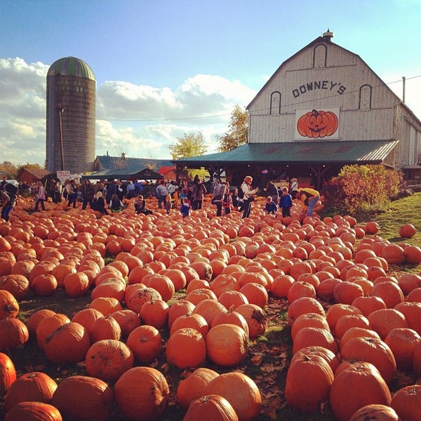Downey's farm Farm in Caledon