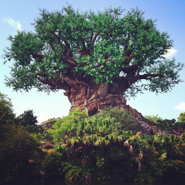 The Tree of Life - Walt Disney World Resort - Discovery Island, Animal  Kingdom