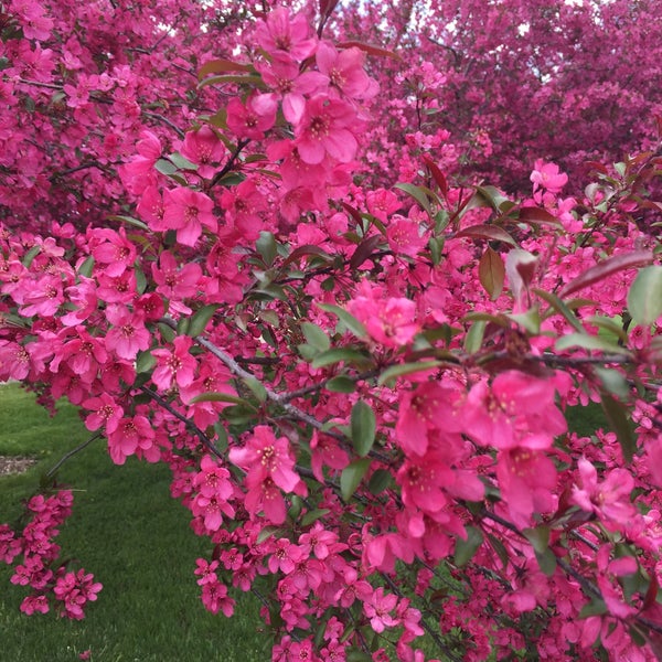 Daleo Soccer Fields 1 tip from 50 visitors