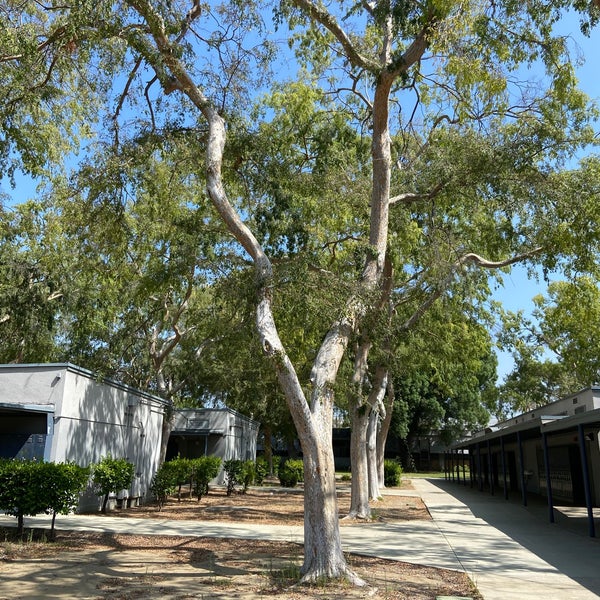 Robert Fulton Middle School High School In Van Nuys Robert Fulton Middle School High School In Van Nuys