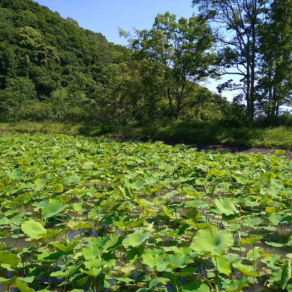 和歌山県植物公園緑花センター Botanical Garden In 岩出市 和歌山県植物公園緑花センター Botanical Garden In 岩出市