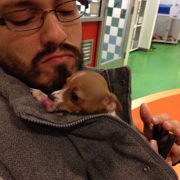 lucky paws coronado center