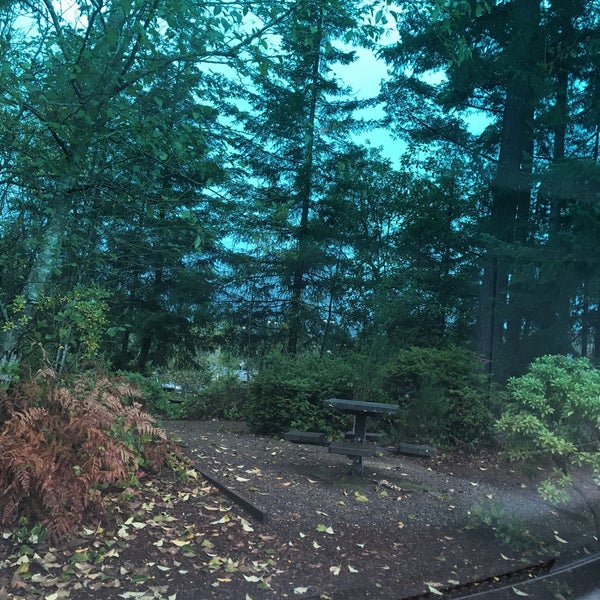 Costco Gig Harbor North 12 tips from 847 visitors