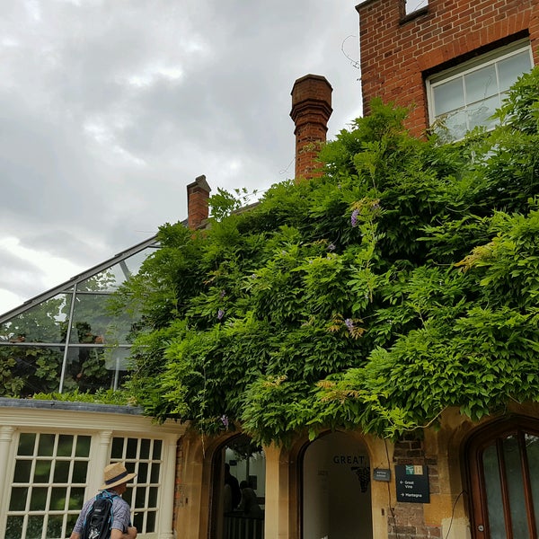 Photo taken at Hampton Court Great Vine by Frankie P. on 8/28/2016