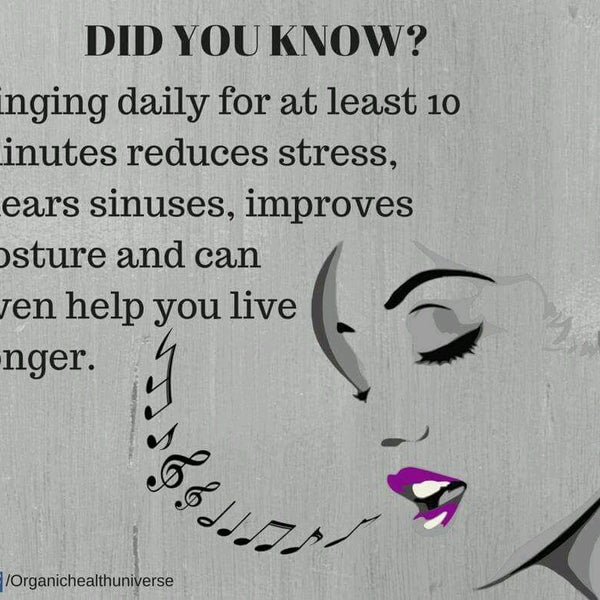 Shiok Cafe Now Closed 64 Jalan Ss15 4c