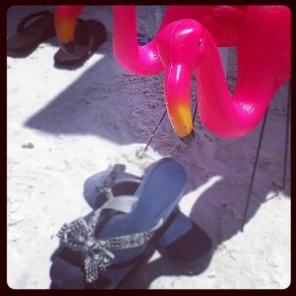 Siesta Breakers Resort Resort in Sarasota