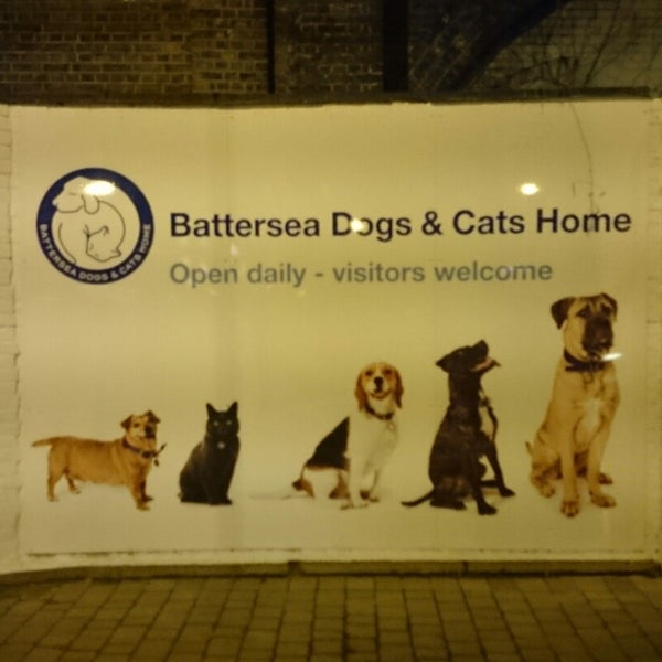 รูปภาพถ่ายที่ Battersea Dogs &amp; Cats Home โดย Roman S. เมื่อ 11/7/2014