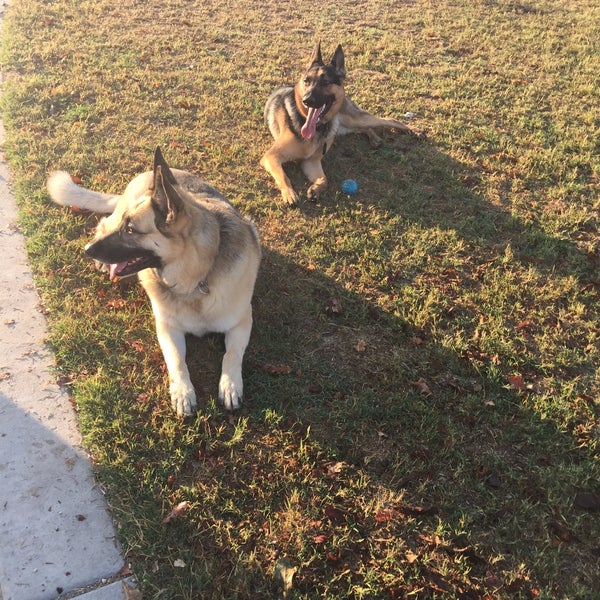 Photos at Michael Faklis Park Stockton, CA