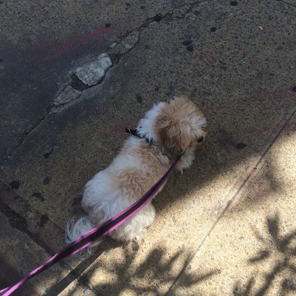 Maria's Grooming Pet Supplies Store in Bronx