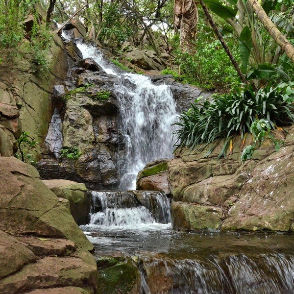 Pretoria Botanical Gardens Map Fasci Garden