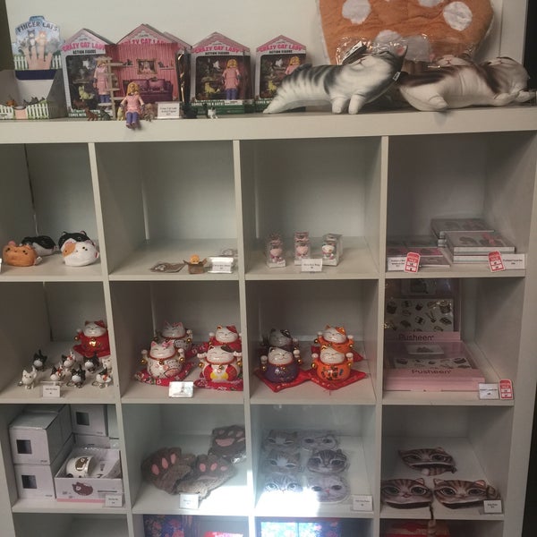Cat Cafe Melbourne Pet Caf in Melbourne Cat Cafe Melbourne Pet Caf in Melbourne