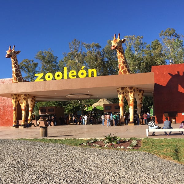 Photo taken at Zooleón by Liliana U. on 10/29/2016