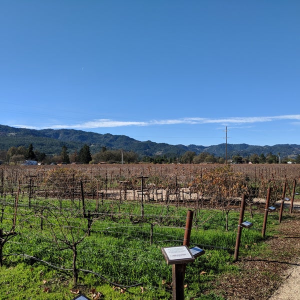 Photo taken at Raymond Vineyards by Mike P. on 12/11/2017
