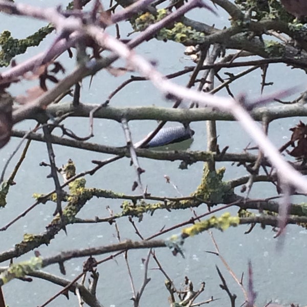 Aveve Commers Garden Center In Mechelen