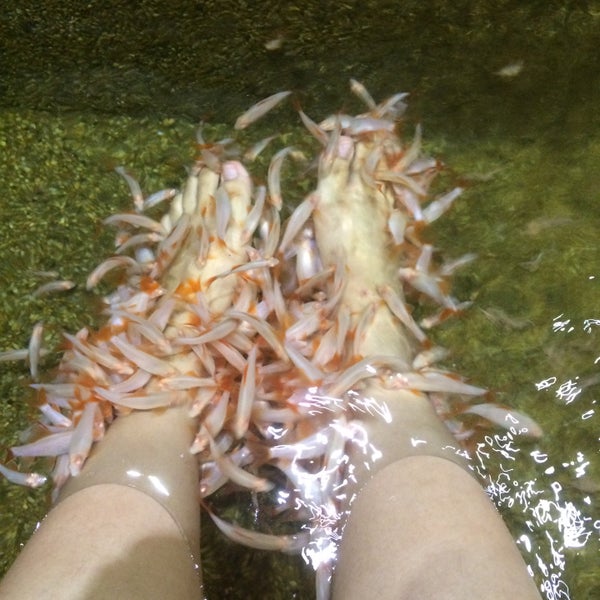 Herbaline Jalan Pahang Pekan Setapak Kuala Lumpur Kuala Lumpur