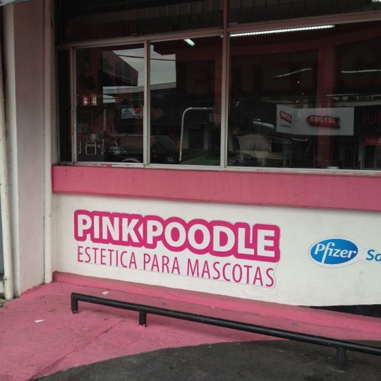 Pink Poodle Pet Supplies Store in San Jose
