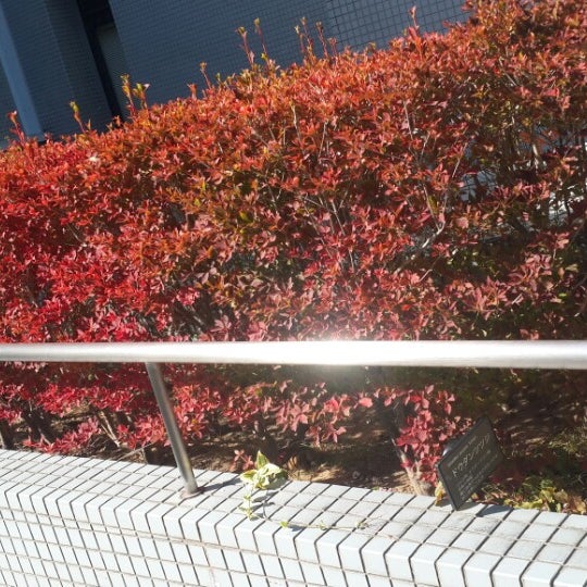 Photos At Jaist附属図書館 能美市 石川県