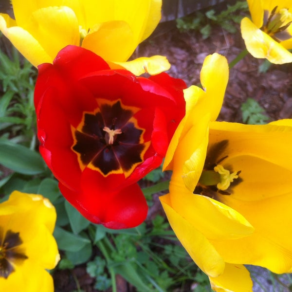 39+ Garten In Lütten Klein, Ich stelle gerne den kontakt zum.