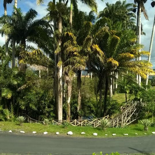 Paripiranga Bahia fonte: fastly.4sqi.net Fonte: fastly.4sqi.net