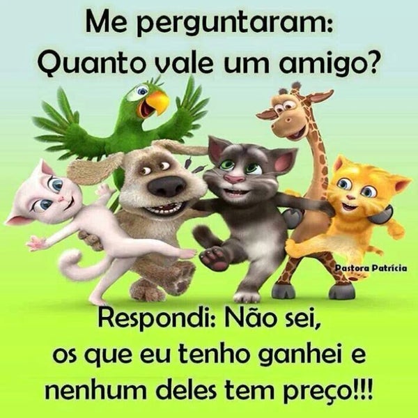 kinei estancia velha