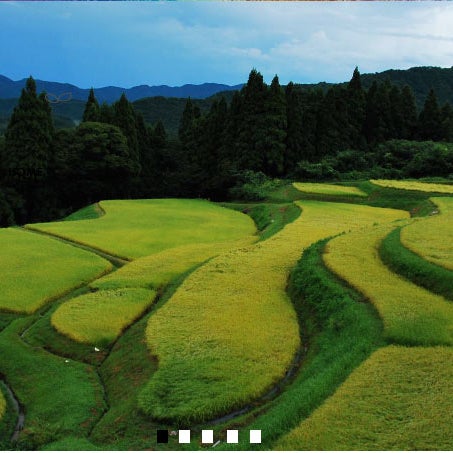 うへ山の棚田 小代区貫田 うへ山の棚田 小代区貫田