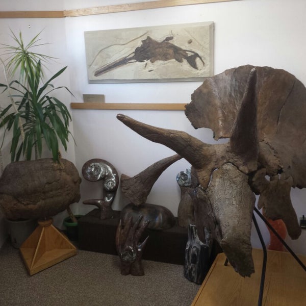 The Fossil Shop - Jewelry Store