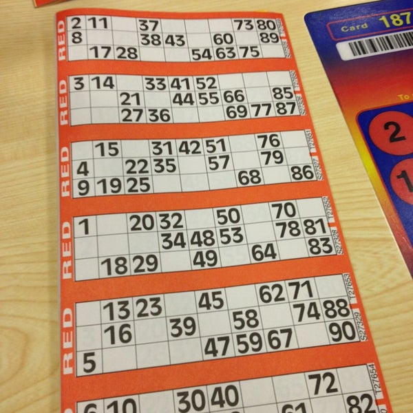 Bingo Bingo