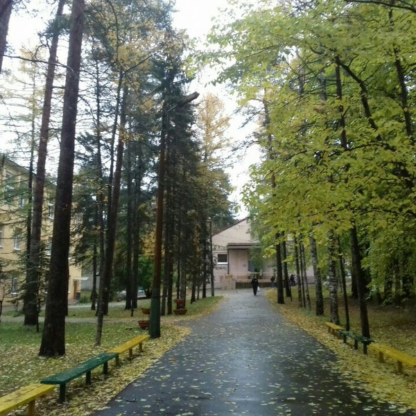 Детский санаторий дюны в сестрорецке