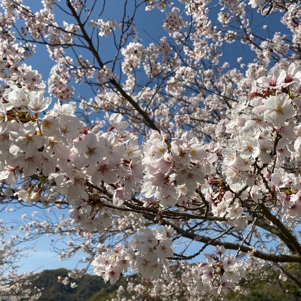 Fotos Em バンブージョイハイランド 竹原市 4 Dicas De 332 Clientes