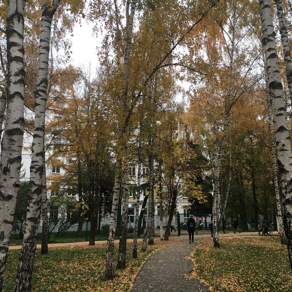 Школа 463 Фото