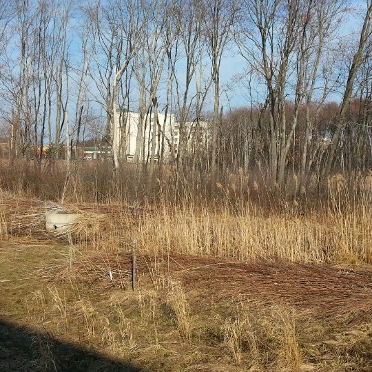 Ez Storage Framingham Dandk Organizer