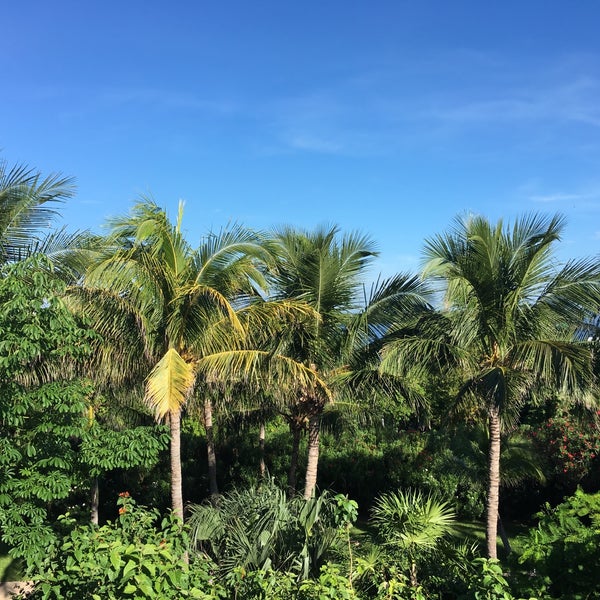 8/29/2016 tarihinde Fernando C.ziyaretçi tarafından Club Med Cancún Yucatán'de çekilen fotoğraf