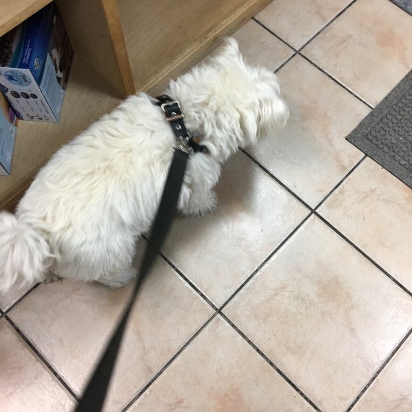 Your Natural Pet Dunedin, FL