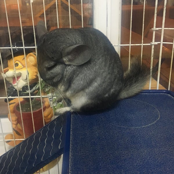 кафе вилби черемхово. минутка рязань кафе. минутка черемхово. ресторан черемхово. черемхово улица ленина.