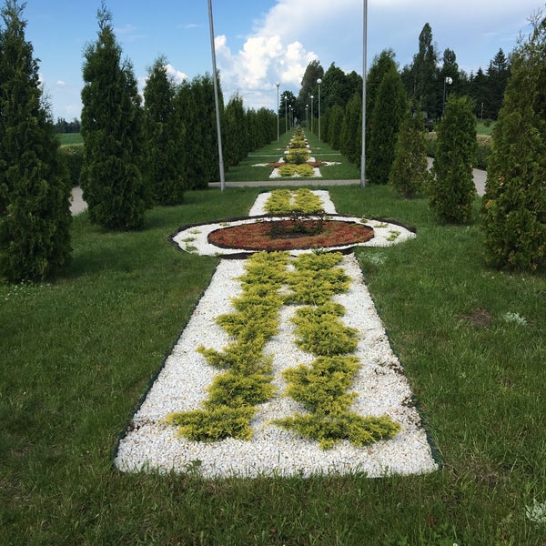 Прохоровка фото свадьба