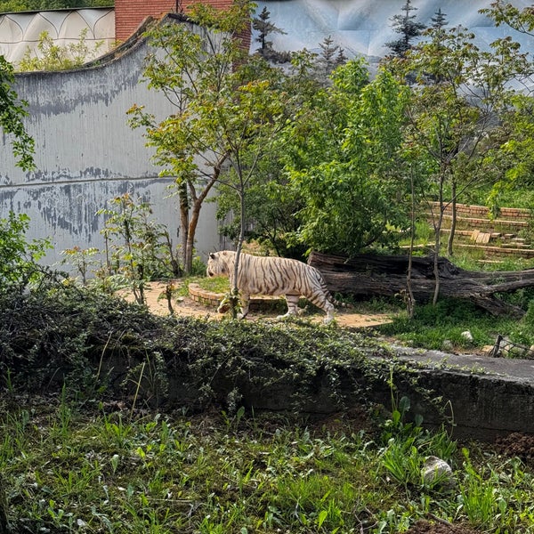 Photo prise au Зоопарк София (Sofia Zoo) par Petya G. le4/30/2024