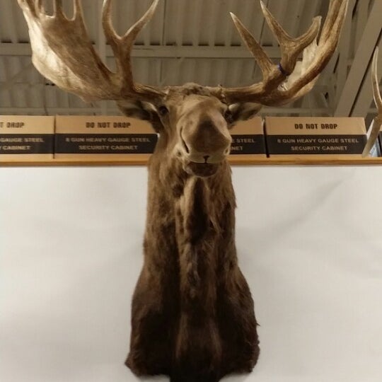 Photos at Sportsman's Warehouse Rocklin, CA