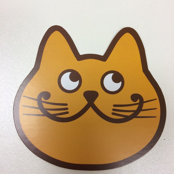 Котофото Интернет Магазин