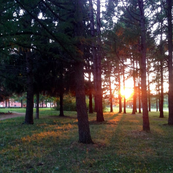 Столовая зеленая зона пущино. Зеленая зона в кафе. Кафе зеленая зона пущино. Пущино архитектура. Зеленая зона пущино.