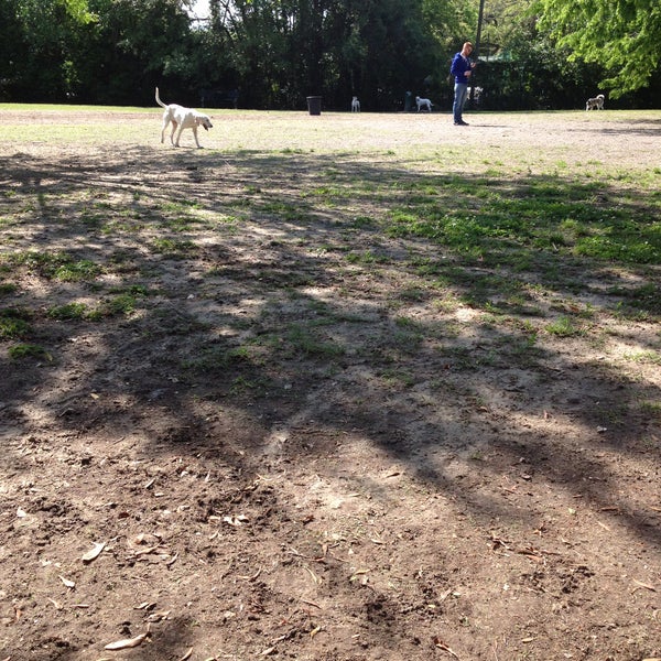 Hampton Park Dog Run Rutledge Ave