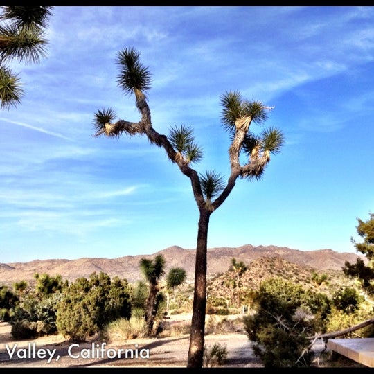 Photos At Black Rock Campground Yucca Valley Ca